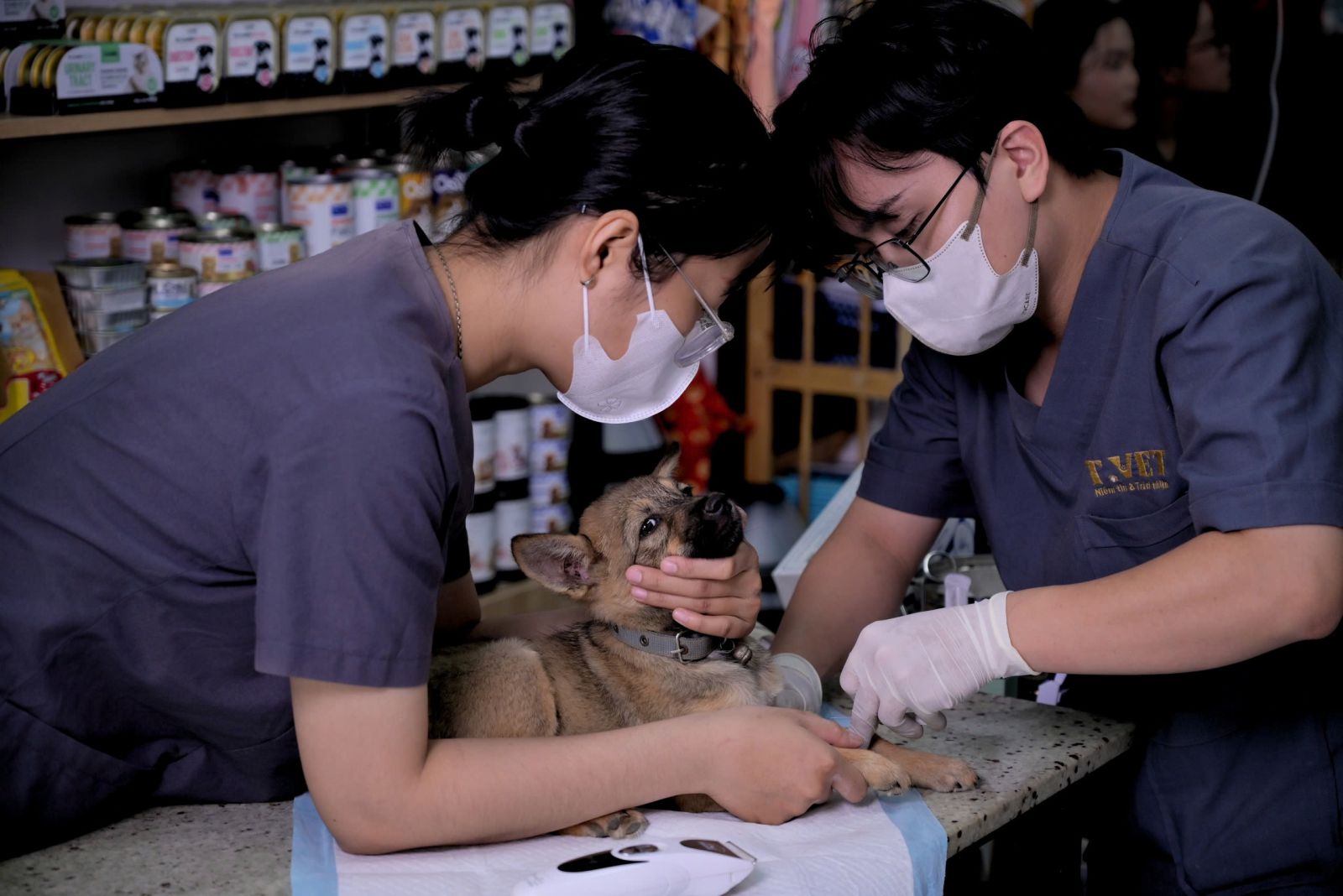 Phòng khám thú y T-Vet