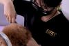  T-Vet: Nơi gửi gắm trọn vẹn niềm tin cho người bạn bốn chân của bạn